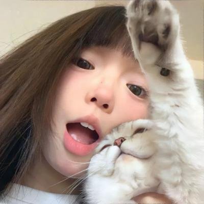 四片羽毛